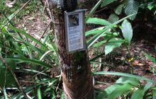 Zdjęcia z wyjazdu do Malezji 