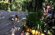 Zdjęcia z wyjazdu do Malezji 