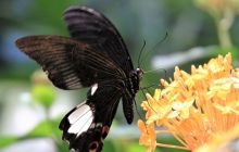 Zdjęcia z wyjazdu do Malezji 