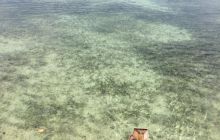 Zdjęcia z wyjazdu do Malezji 