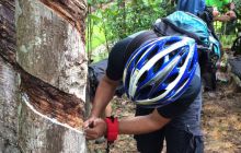 Zdjęcia z wyjazdu do Malezji 