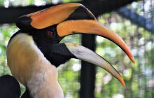 Zdjęcia z wyjazdu do Malezji 