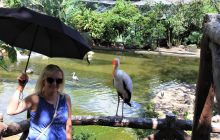 Zdjęcia z wyjazdu do Malezji 