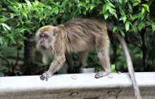 Zdjęcia z wyjazdu do Malezji 