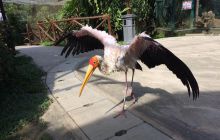 Zdjęcia z wyjazdu do Malezji 