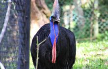 Zdjęcia z wyjazdu do Malezji 