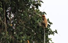 Zdjęcia z wyjazdu do Malezji 