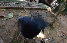 Zdjęcia z wyjazdu do Malezji 