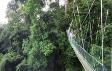 Zdjęcia z wyjazdu do Malezji 