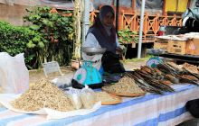 Zdjęcia z wyjazdu do Malezji 