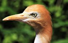 Zdjęcia z wyjazdu do Malezji 