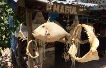 Zdjęcia z wyjazdu do Malezji 