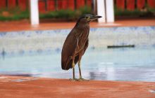 Zdjęcia z wyjazdu do Malezji 