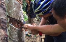 Zdjęcia z wyjazdu do Malezji 