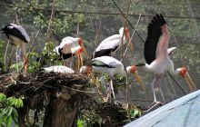 Zdjęcia z wyjazdu do Malezji 