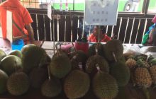 Zdjęcia z wyjazdu do Malezji 