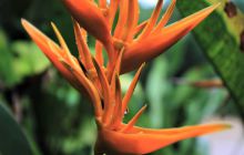 Zdjęcia z wyjazdu do Malezji 