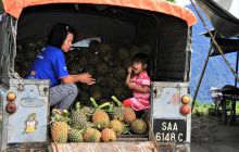 Zdjęcia z wyjazdu do Malezji 