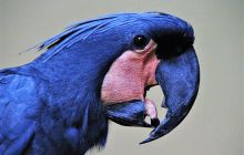 Zdjęcia z wyjazdu do Malezji 