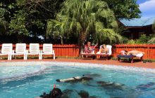 Zdjęcia z wyjazdu do Malezji 