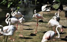 Zdjęcia z wyjazdu do Malezji 