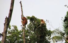 Zdjęcia z wyjazdu do Malezji 