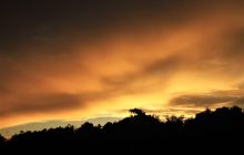 Zdjęcia z wyjazdu do Malezji 