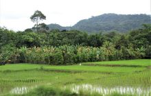 Zdjęcia z wyjazdu do Malezji 