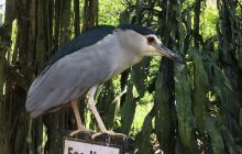 Zdjęcia z wyjazdu do Malezji 