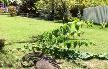 Zdjęcia z wyjazdu do Malezji 