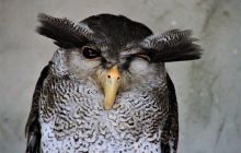 Zdjęcia z wyjazdu do Malezji 