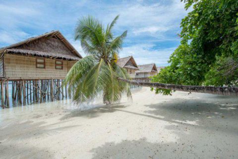 <p>Nurkowanie w Raja Ampat - Papua Zachodnia i Dolina Bailem</p>
