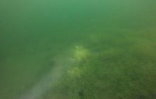 Wyjazd nad jezioro Świętajno