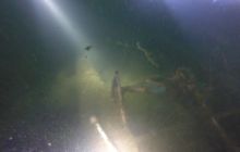 Wyjazd nad jezioro Świętajno