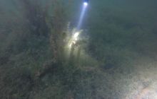 Wyjazd nad jezioro Świętajno