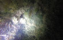 Wyjazd nad jezioro Świętajno