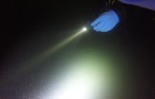 Wyjazd nad jezioro Świętajno