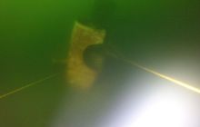 Wyjazd nad jezioro Świętajno