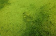 Wyjazd nad jezioro Świętajno