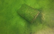 Wyjazd nad jezioro Świętajno