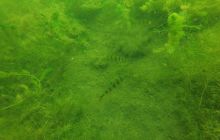 Wyjazd nad jezioro Świętajno