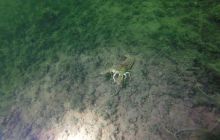 Wyjazd nad jezioro Świętajno