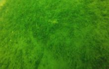 Wyjazd nad jezioro Świętajno