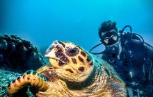 Wyprawa nurkowa do Jordanii