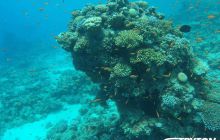 Zdjęcia z Dahab 2017