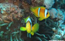 Zdjęcia z Dahab 2017