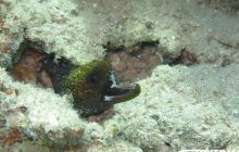 Zdjęcia z Dahab 2017