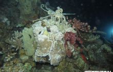 Zdjęcia z Dahab 2017