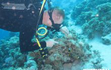 Zdjęcia z Dahab 2017