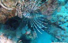 Zdjęcia z Dahab 2017